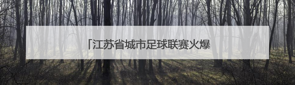 江苏省城市足球联赛火爆继续 球迷观赛热情高涨