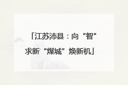 江苏沛县：向“智”求新“煤城”焕新机