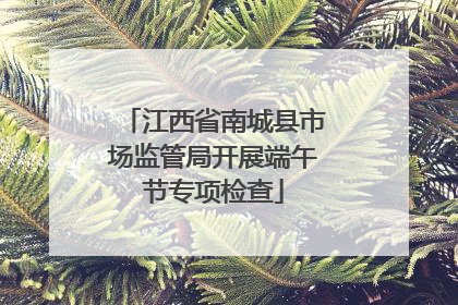 江西省南城县市场监管局开展端午节专项检查