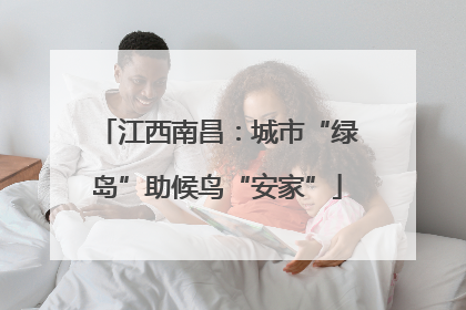 江西南昌：城市“绿岛”助候鸟“安家”