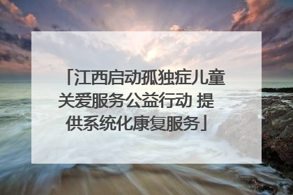 江西启动孤独症儿童关爱服务公益行动 提供系统化康复服务