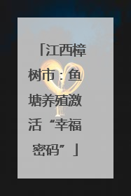 江西樟树市：鱼塘养殖激活“幸福密码”