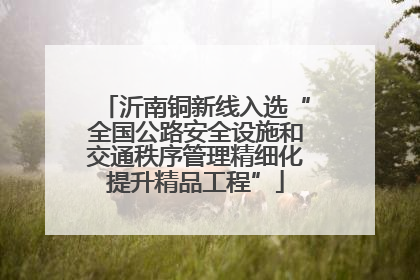 沂南铜新线入选“全国公路安全设施和交通秩序管理精细化提升精品工程”