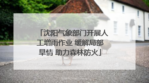 沈阳气象部门开展人工增雨作业 缓解局部旱情 助力森林防火