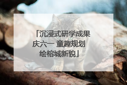 沉浸式研学成果庆六一 童趣规划绘榕城新貌