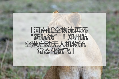 河南低空物流再添“新航线”！郑州航空港启动无人机物流常态化试飞