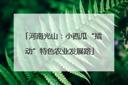 河南光山：小西瓜“撬动”特色农业发展路