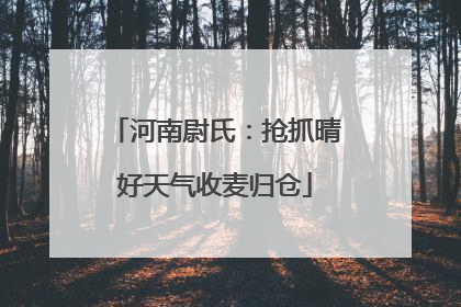 河南尉氏:抢抓晴好天气收麦归仓