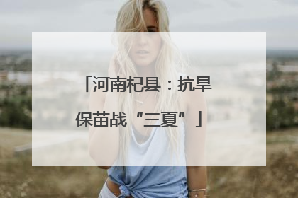 河南杞县：抗旱保苗战“三夏”