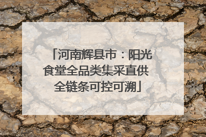 河南辉县市：阳光食堂全品类集采直供 全链条可控可溯