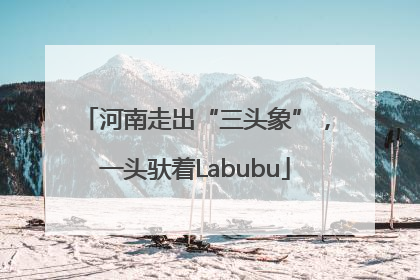 河南走出“三头象”，一头驮着Labubu