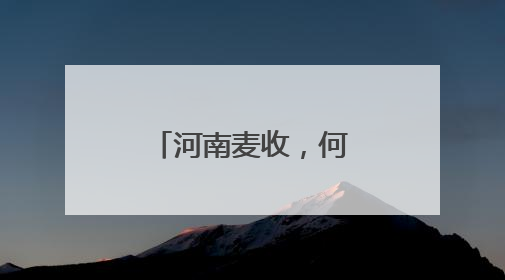 河南麦收，何以“顶流”？