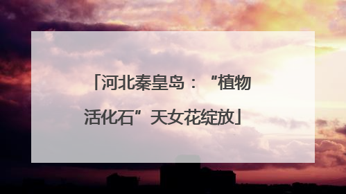 河北秦皇岛：“植物活化石”天女花绽放