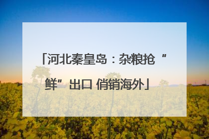 河北秦皇岛：杂粮抢“鲜”出口 俏销海外