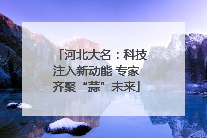 河北大名：科技注入新动能 专家齐聚“蒜”未来