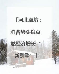 河北廊坊：消费势头稳点燃经济增长“新引擎”
