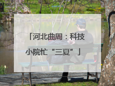 河北曲周：科技小院忙“三夏”