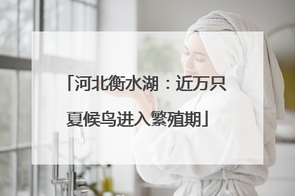 河北衡水湖：近万只夏候鸟进入繁殖期