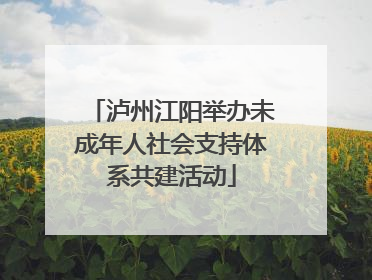 泸州江阳举办未成年人社会支持体系共建活动