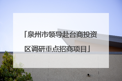 泉州市领导赴台商投资区调研重点招商项目