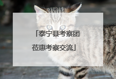 泰宁县考察团莅惠考察交流