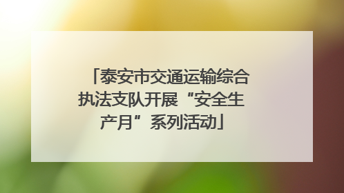 泰安市交通运输综合执法支队开展“安全生产月”系列活动
