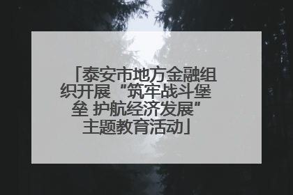 泰安市地方金融组织开展“筑牢战斗堡垒 护航经济发展”主题教育活动