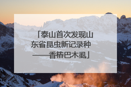 泰山首次发现山东省昆虫新记录种——香椿巴木虱
