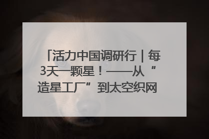 活力中国调研行｜每3天一颗星！——从“造星工厂”到太空织网的“银河速度”