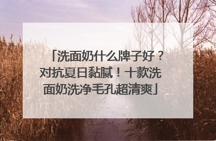 洗面奶什么牌子好？对抗夏日黏腻！十款洗面奶洗净毛孔超清爽