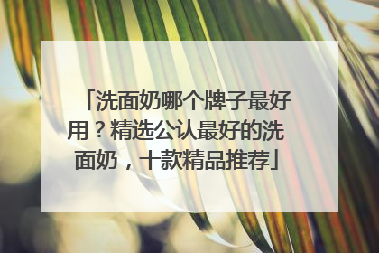 洗面奶哪个牌子最好用？精选公认最好的洗面奶，十款精品推荐
