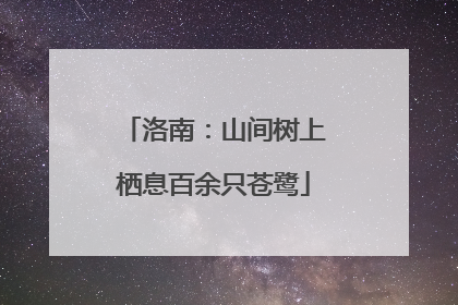 洛南：山间树上栖息百余只苍鹭