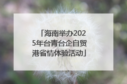 海南举办2025年台青台企自贸港省情体验活动