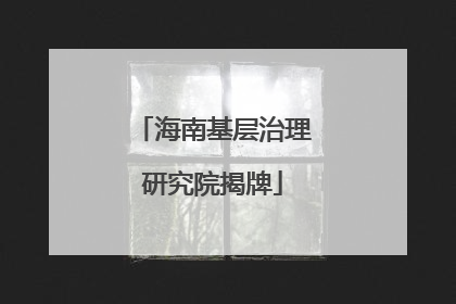 海南基层治理研究院揭牌