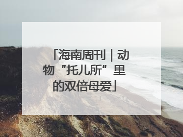 海南周刊｜动物“托儿所”里的双倍母爱