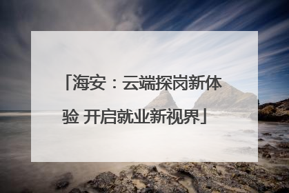 海安：云端探岗新体验 开启就业新视界