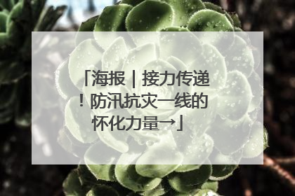 海报｜接力传递！防汛抗灾一线的怀化力量→