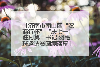 济南市南山区“农商行杯”“庆七一”驻村第一书记 羽毛球邀请赛圆满落幕