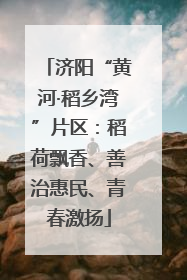 济阳“黄河·稻乡湾”片区：稻荷飘香、善治惠民、青春激扬