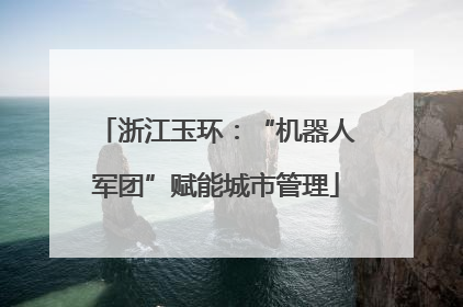浙江玉环：“机器人军团”赋能城市管理
