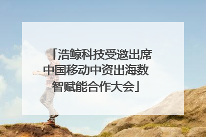 浩鲸科技受邀出席中国移动中资出海数智赋能合作大会