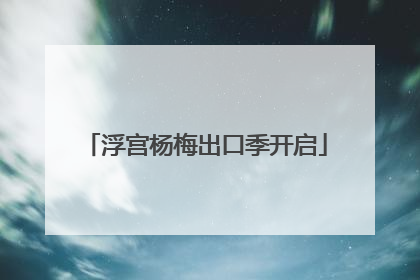 浮宫杨梅出口季开启