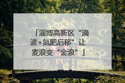 淄博高新区“滴灌+氮肥后移”让麦浪变“金浪”