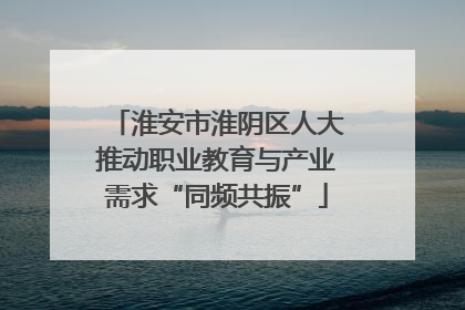 淮安市淮阴区人大推动职业教育与产业需求“同频共振”
