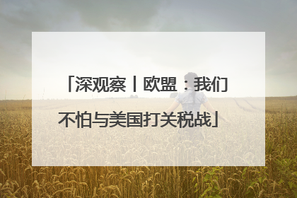 深观察丨欧盟：我们不怕与美国打关税战
