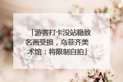 游客打卡没站稳致名画受损，乌菲齐美术馆：将限制自拍