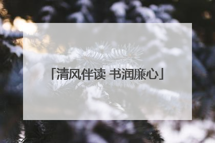 清风伴读 书润廉心