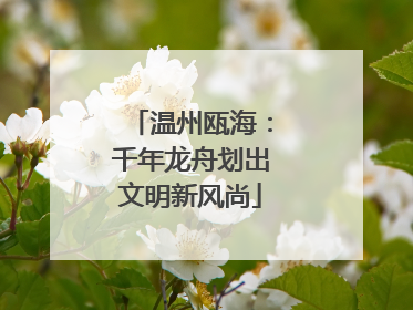 温州瓯海：千年龙舟划出文明新风尚