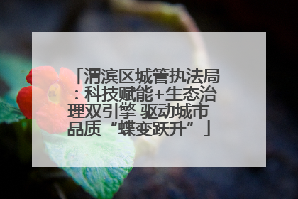 渭滨区城管执法局：科技赋能+生态治理双引擎 驱动城市品质“蝶变跃升”