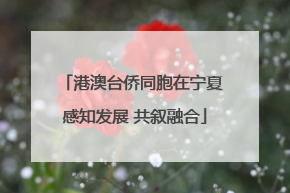 港澳台侨同胞在宁夏感知发展 共叙融合